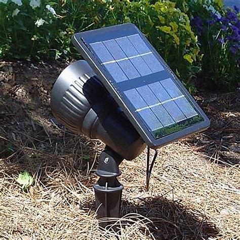 Light up Your Pathway with Solar Magic Garden Lights